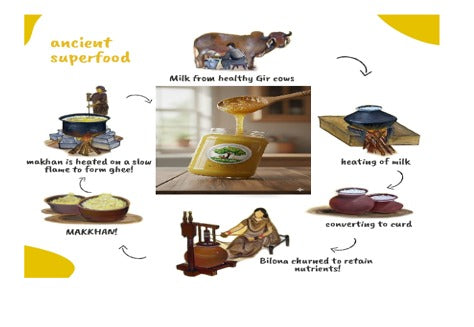 ASHOK VATIKA-A2 Gir Cow Bilona Ghee – 4 Litre